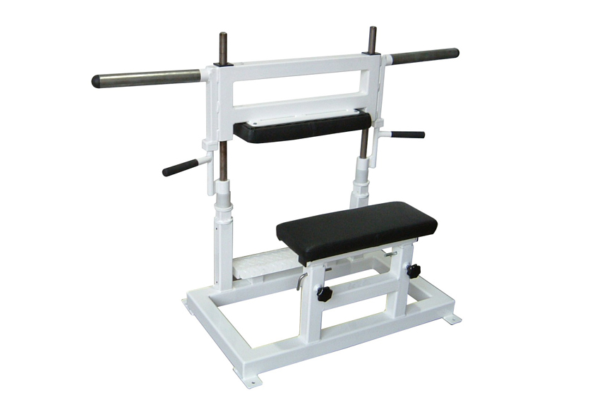 Pullum squat online rack